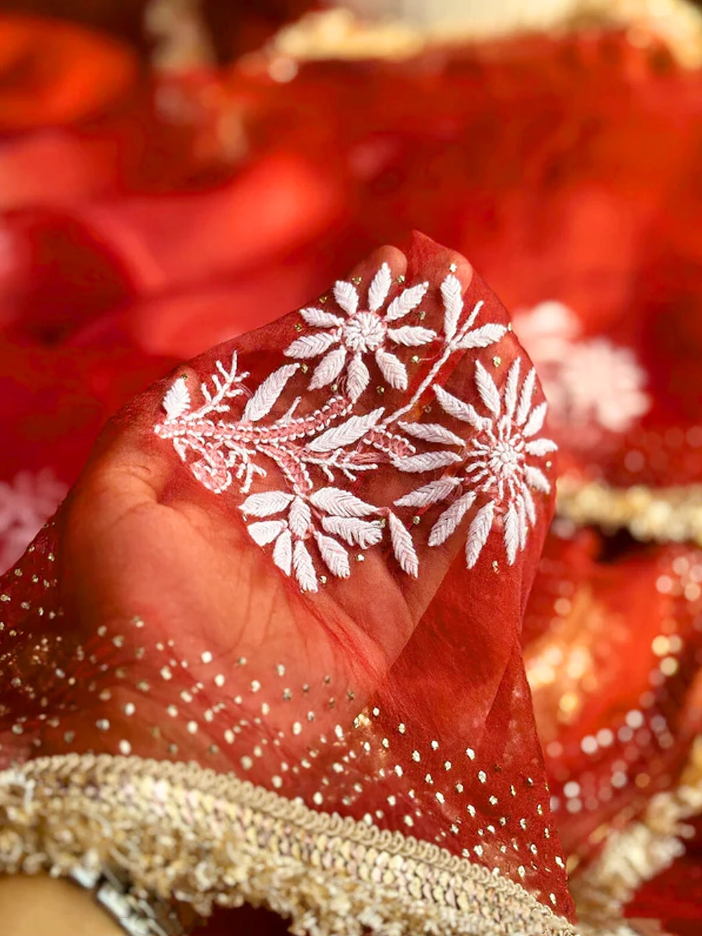 Maroon Leela Organza Chikankari Saree with Lace Border
